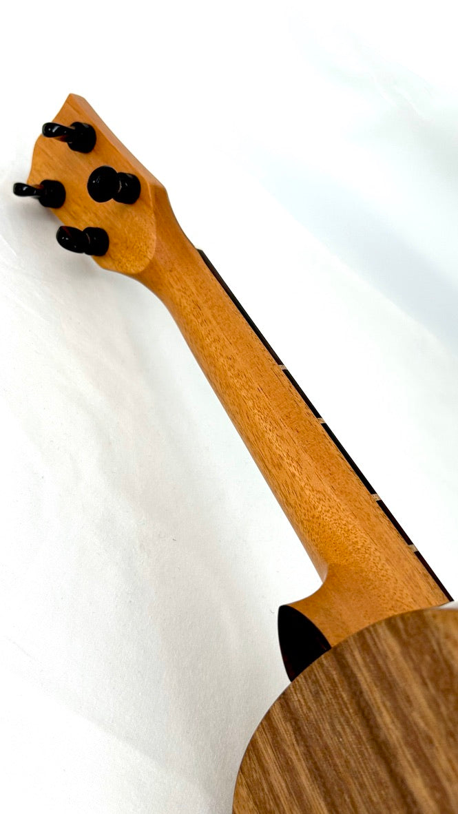 'Oli L1 Concert Acacia gloss 2024 (L1 CA)