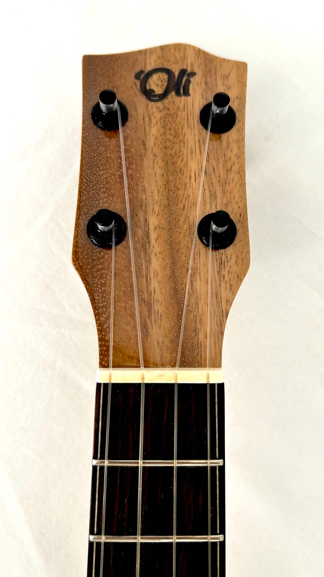 'Oli L1 Concert Acacia gloss 2024 (L1 CA)