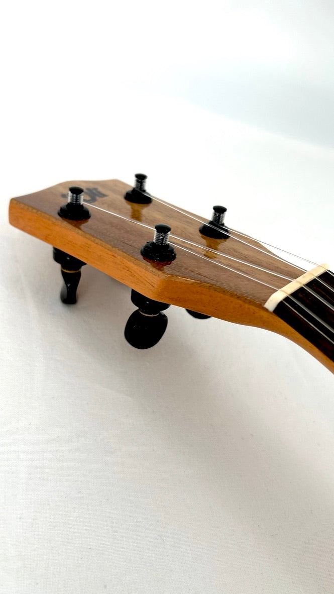 'Oli L1 Concert Acacia gloss 2024 (L1 CA)