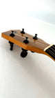 'Oli Concert Acacia gloss (L1 CA)