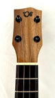 'Oli Concert Acacia gloss (L1 CA)