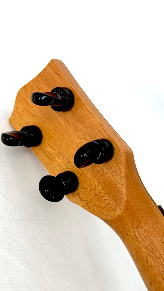 'Oli L1 Concert Acacia gloss 2024 (L1 CA)