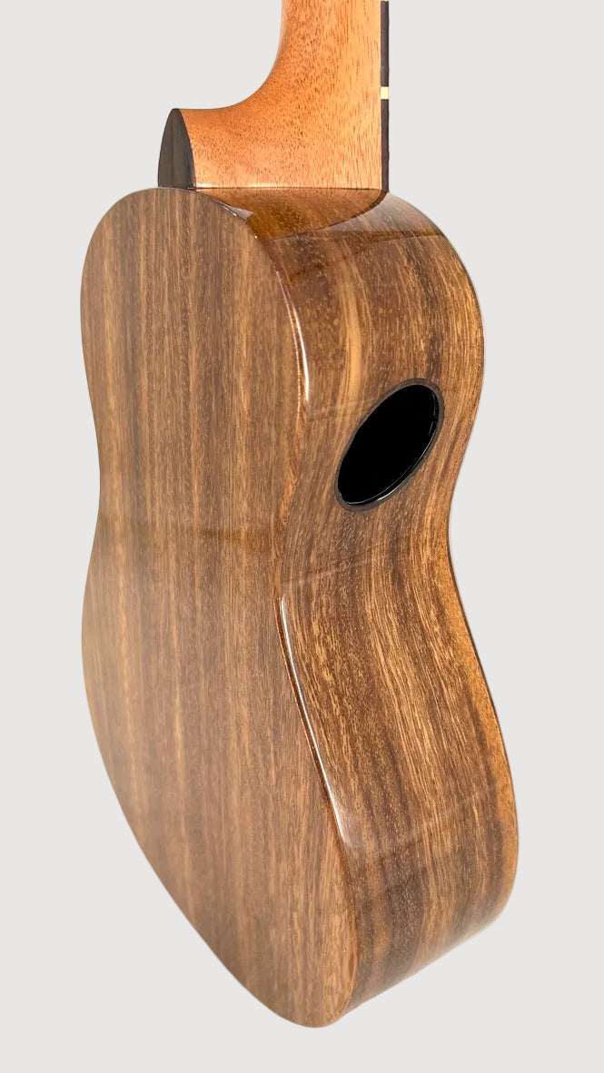 'Oli L1 Concert Acacia gloss (L1-CA)