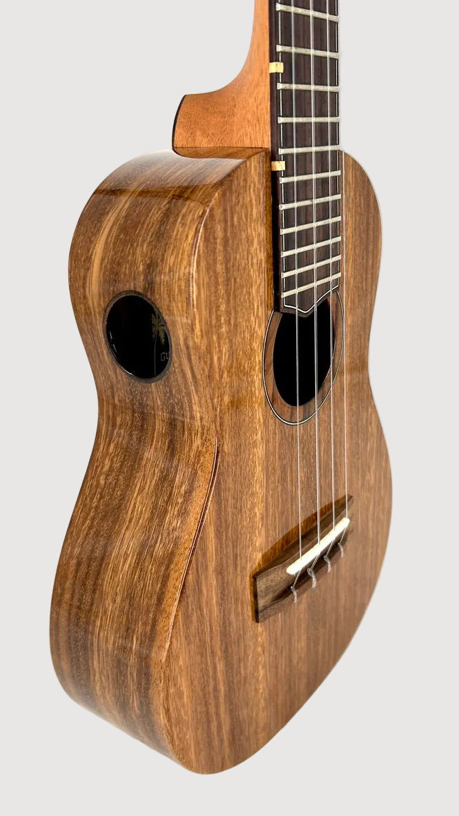 'Oli L1 Concert Acacia gloss (L1-CA)