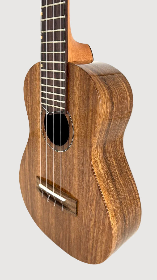 'Oli L1 Concert Acacia gloss (L1-CA)