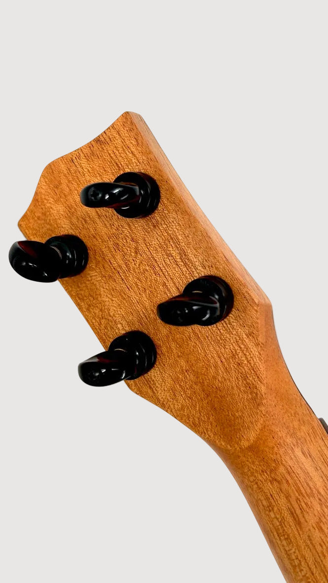 'Oli L1 Concert Acacia gloss (L1-CA)