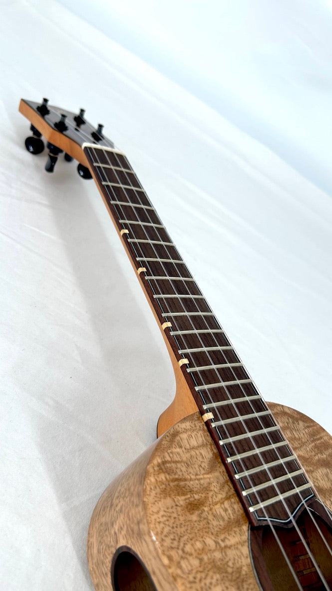 'Oli L1 Concert Mango gloss (L1-CMG)