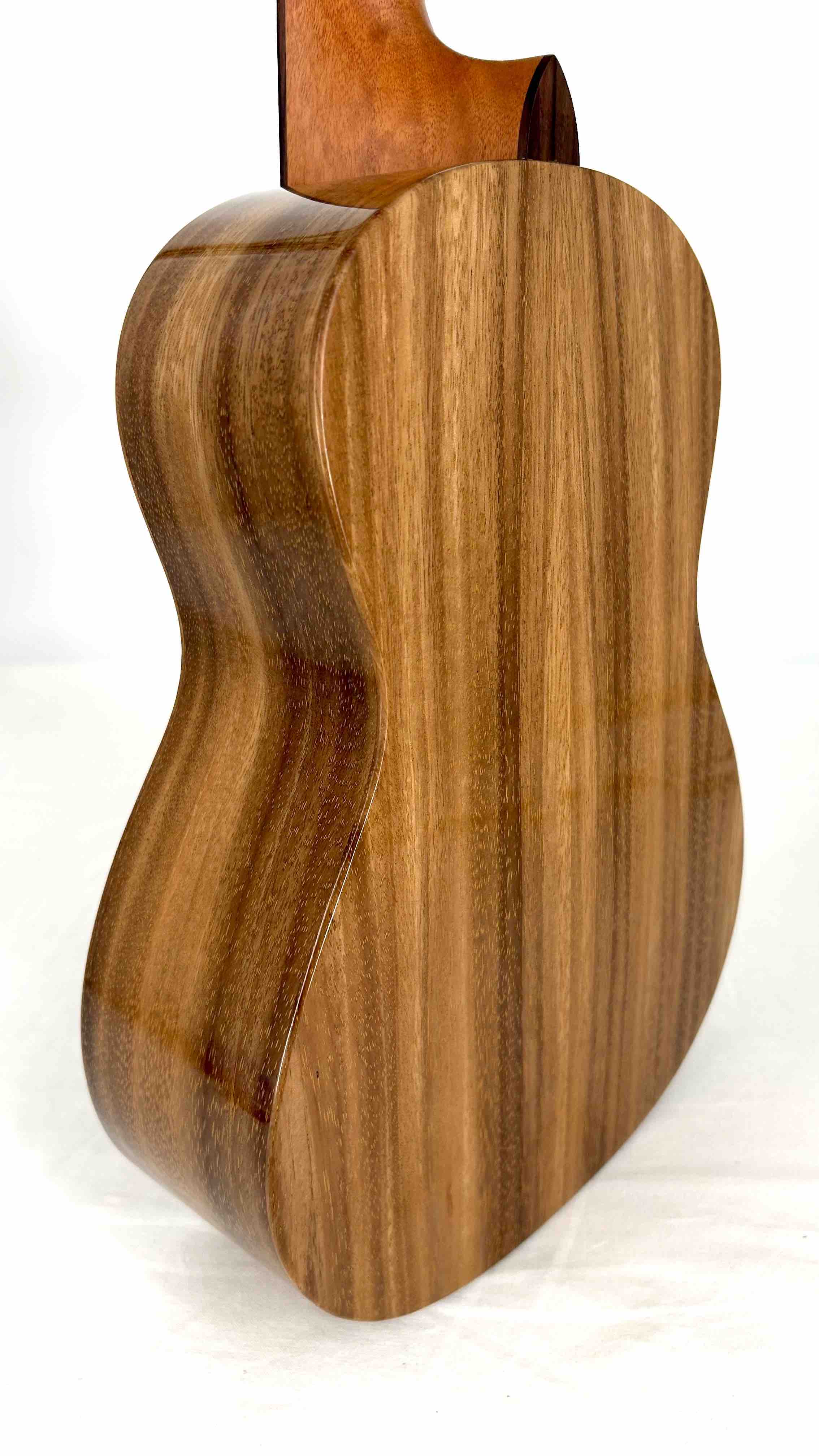 'Oli L1 Tenor Acacia gloss (L1-TA)