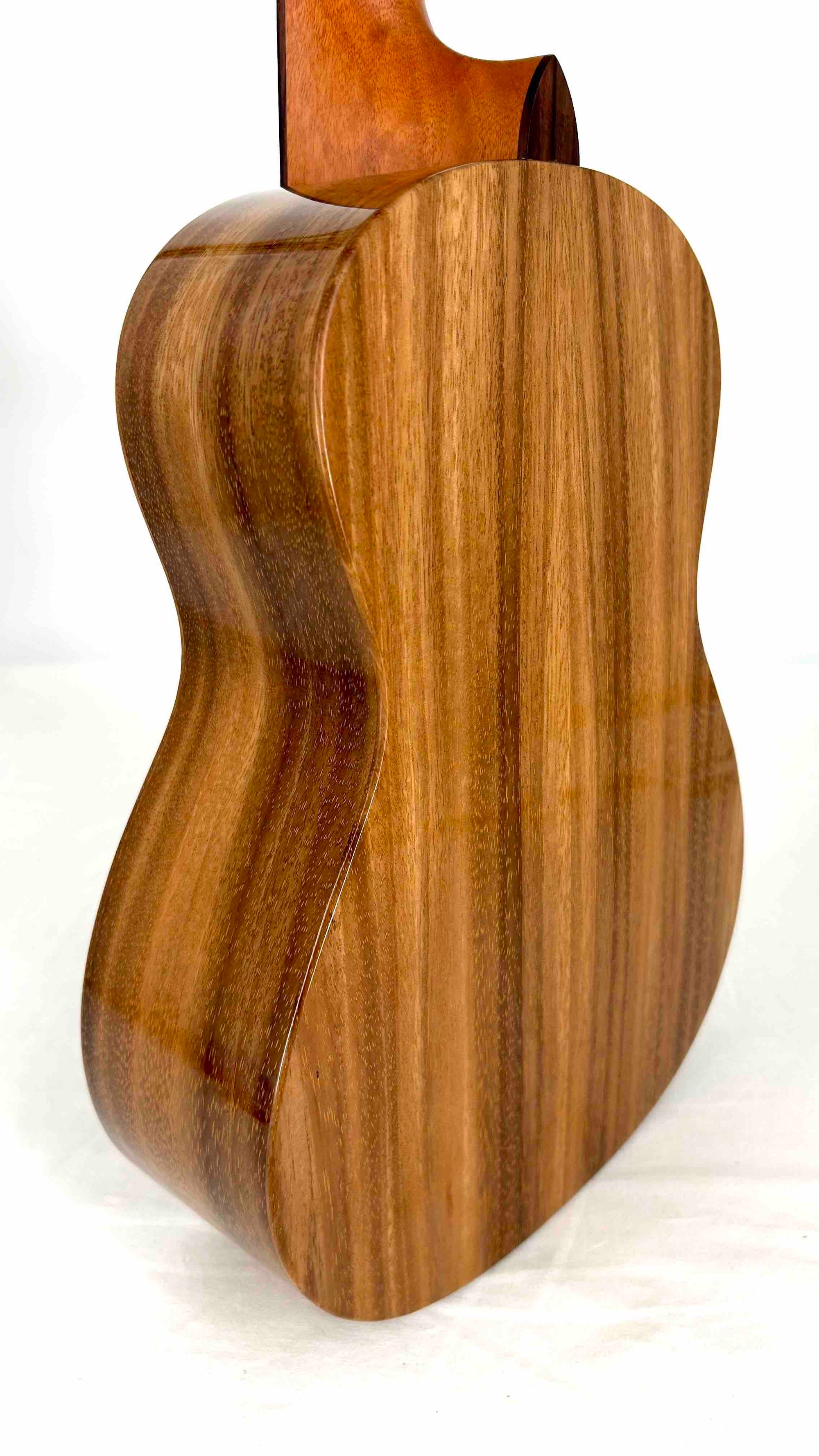 'Oli L1 Tenor Acacia gloss (L1-TA)