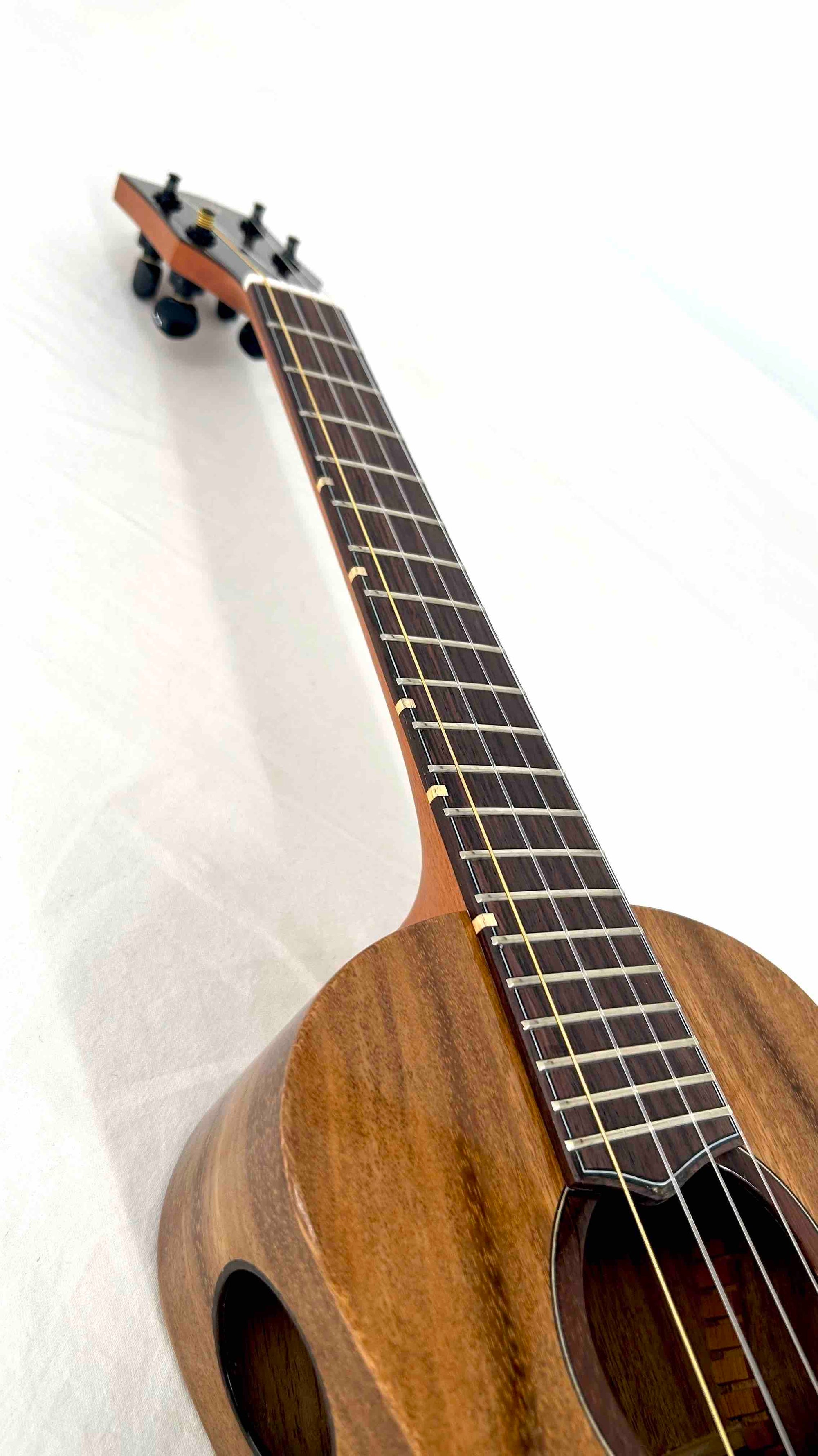 'Oli L1 Tenor Acacia gloss (L1-TA)
