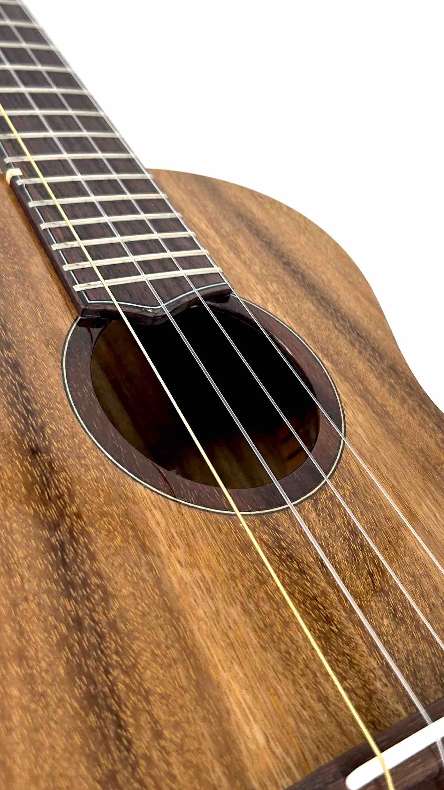 'Oli L1 Tenor Acacia gloss (L1-TA)