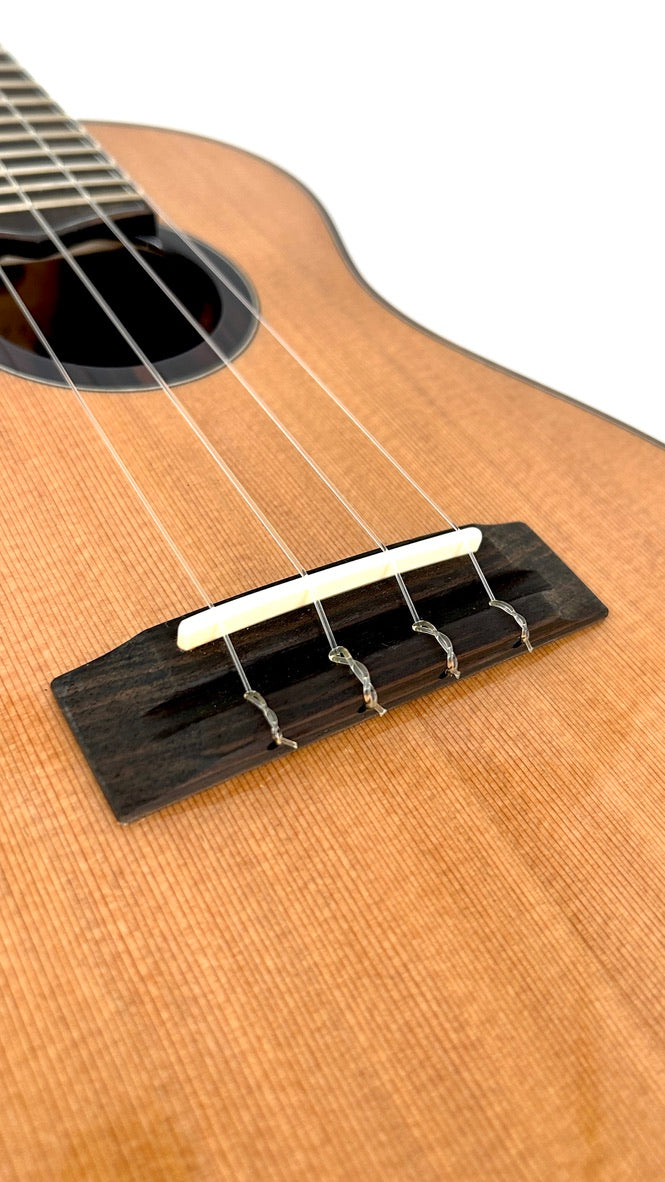 'Oli L2 Concert Cedar Rosewood gloss (L2-CCR)