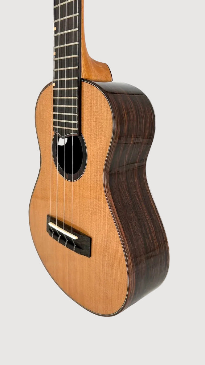'Oli L2 Concert Cedar Rosewood gloss (L2-CCR)
