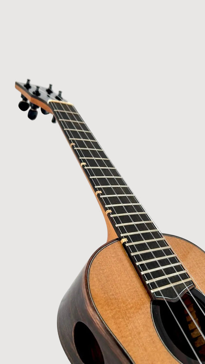'Oli L2 Concert Cedar Rosewood gloss (L2-CCR)