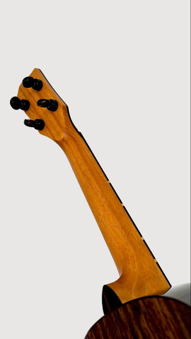 'Oli L2 Concert Cedar Rosewood gloss (L2-CCR)