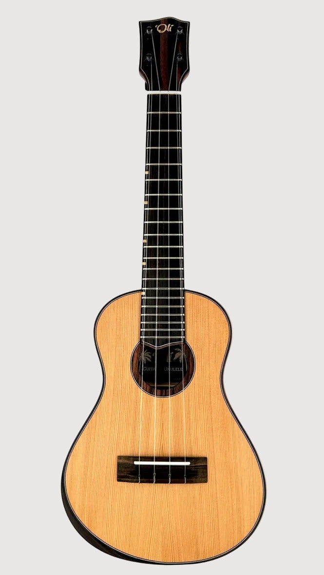 'Oli L2 Concert Cedar Rosewood satin (L2-CCR-S)