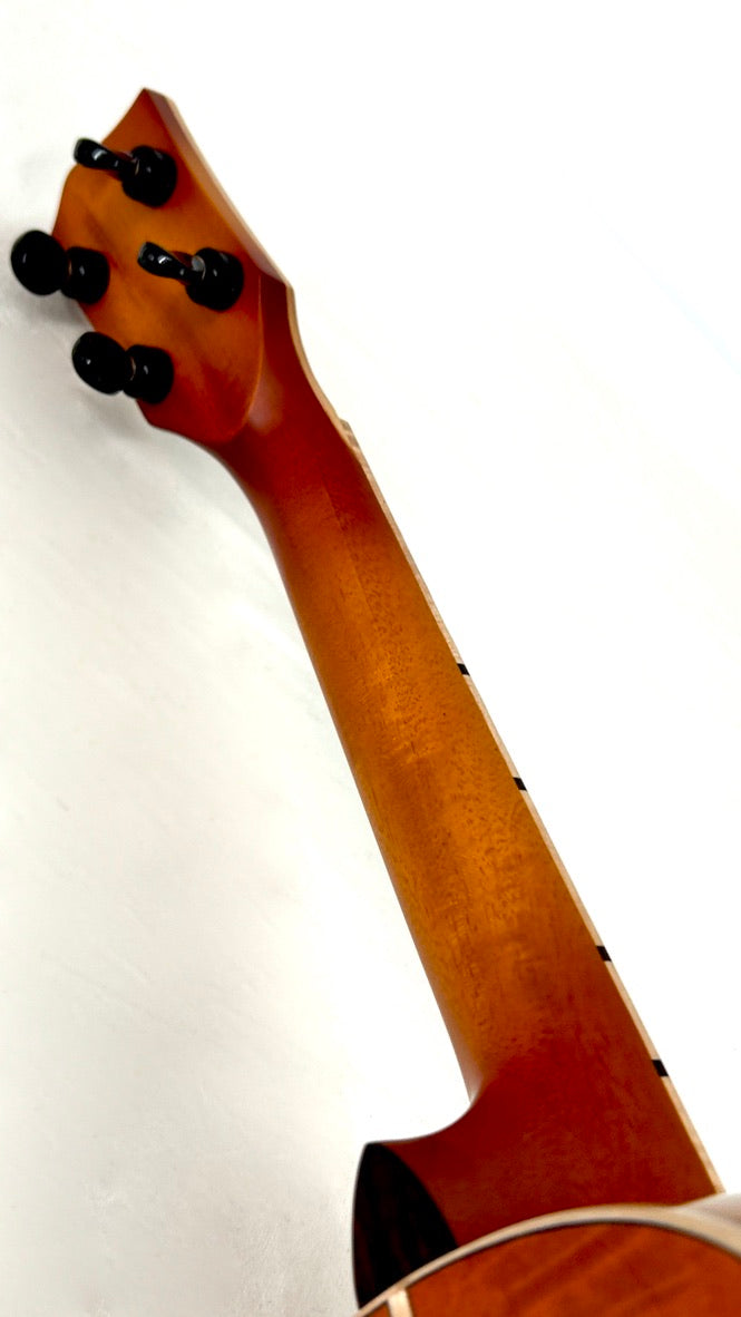 'Oli L2 Concert Spruce Flamed Maple gloss sunburst (L2-CSFM-SB)