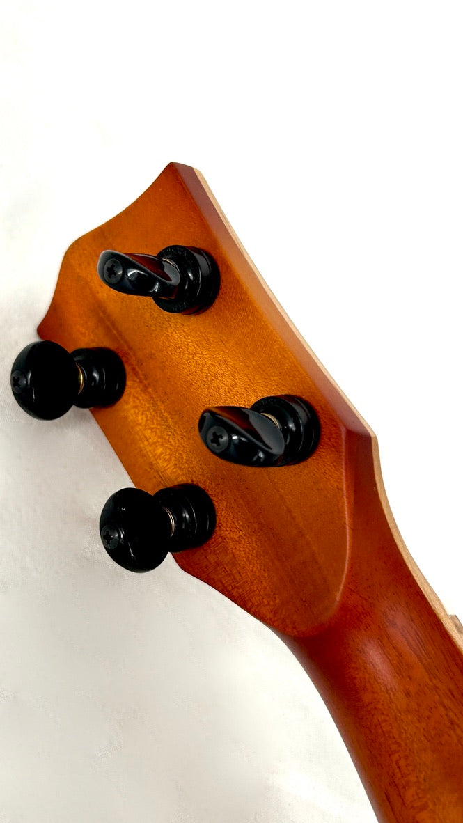 'Oli L2 Concert Spruce Flamed Maple gloss sunburst (L2-CSFM-SB)