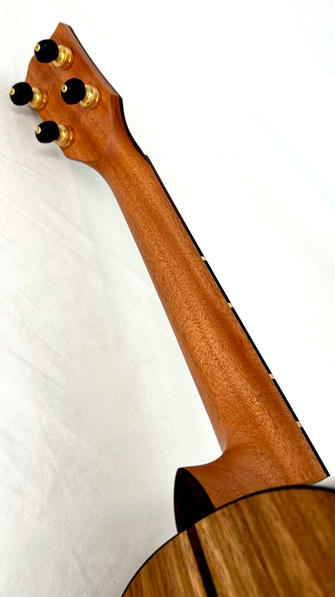 'Oli L2 Tenor Acacia gloss Monstera Inlay (L2-TA)