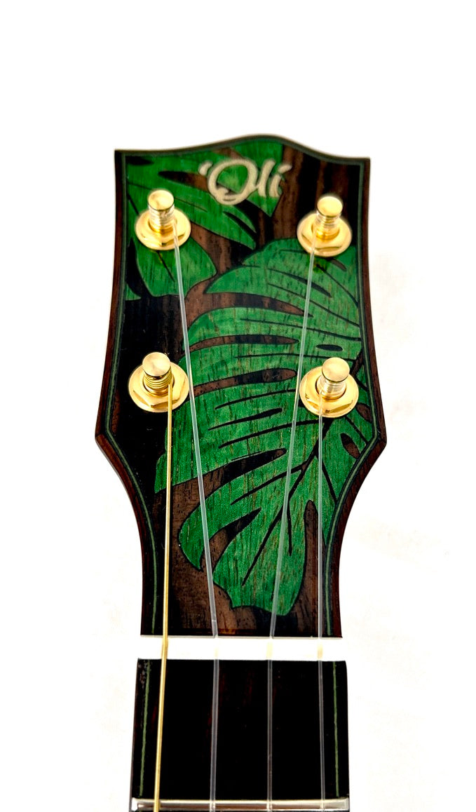 'Oli L2 Tenor Acacia gloss Monstera Inlay (L2-TA)