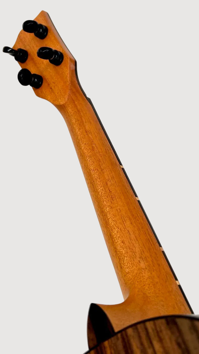 'Oli L2 Tenor Cedar Rosewood satin (L2 TCR-S)