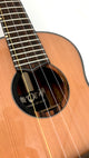 'Oli Tenor Cedar Acacia (L2 TCA)