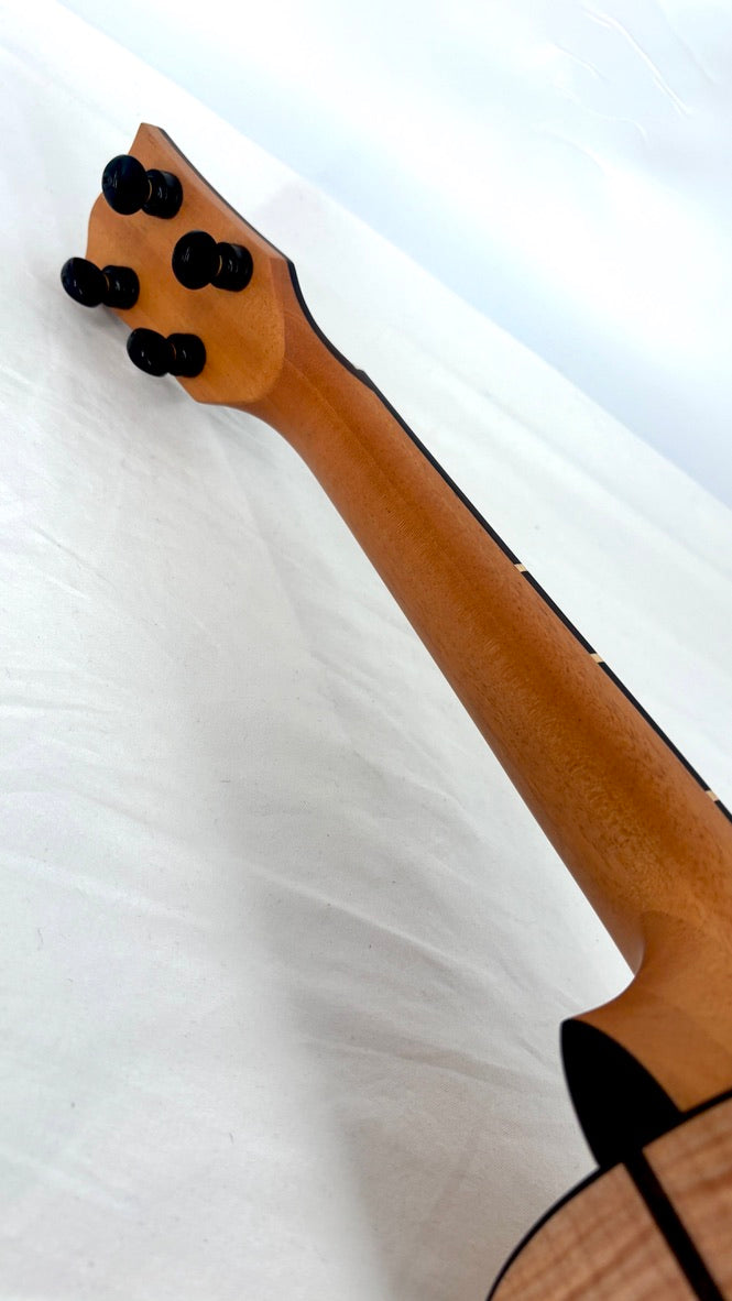 'Oli L2 Tenor Spruce Flamed Maple gloss (L2-TSFM)