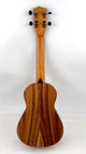 'Oli L Concert Acacia satin (L-CA-S)