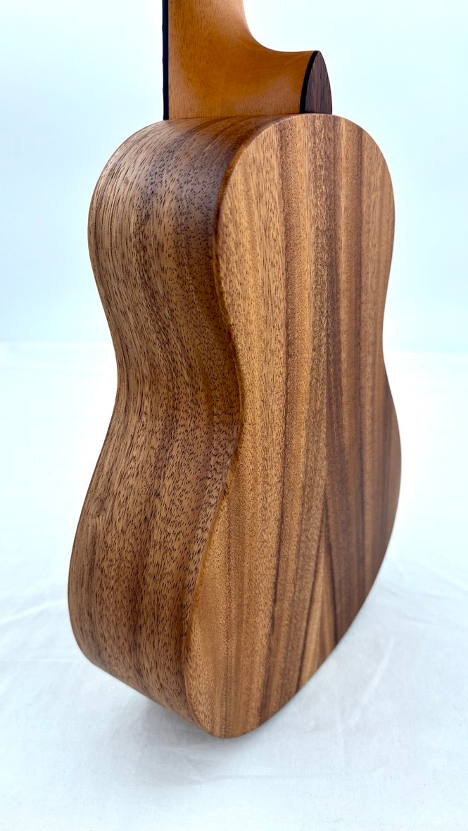 'Oli L Concert Acacia satin (L-CA-S)