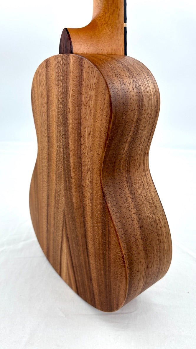 'Oli L Concert Acacia satin (L-CA-S)