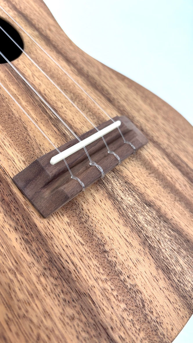 'Oli L Concert Acacia satin (L-CA-S)