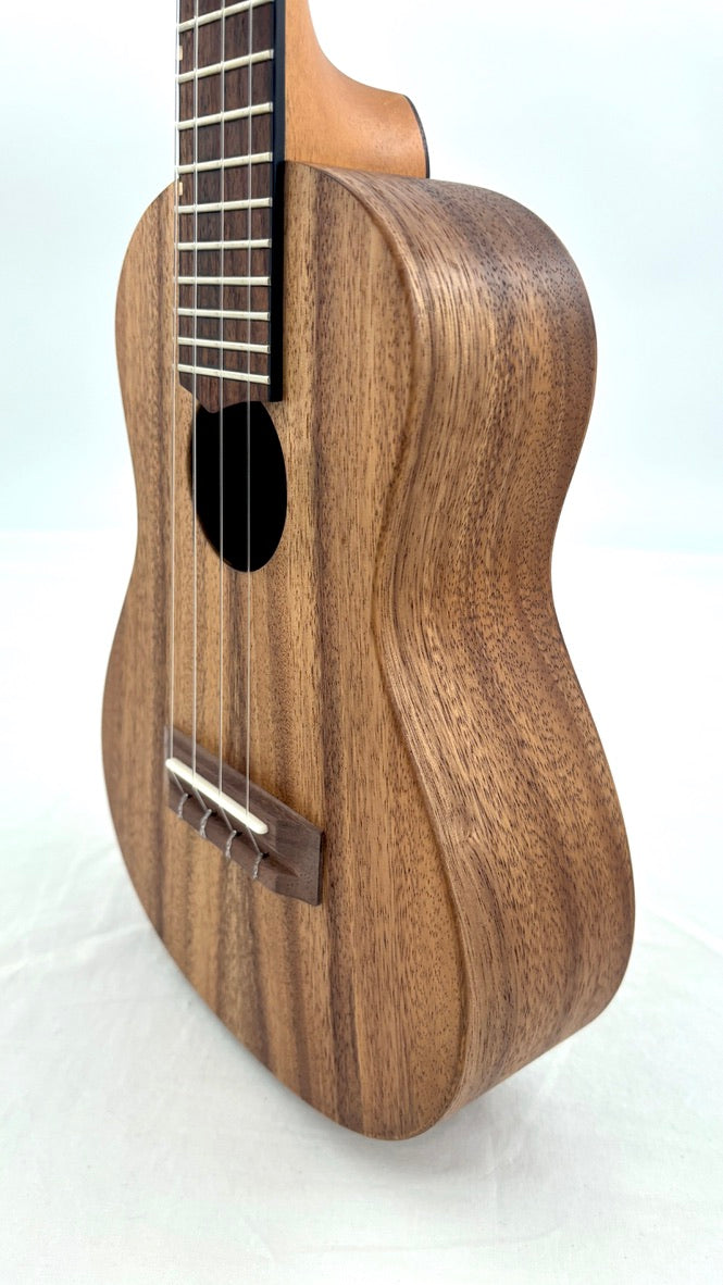 'Oli L Concert Acacia satin (L-CA-S)