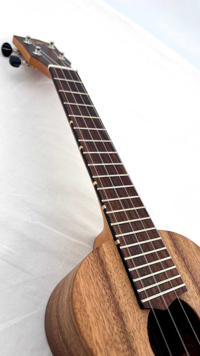 'Oli L Concert Acacia satin (L-CA-S)