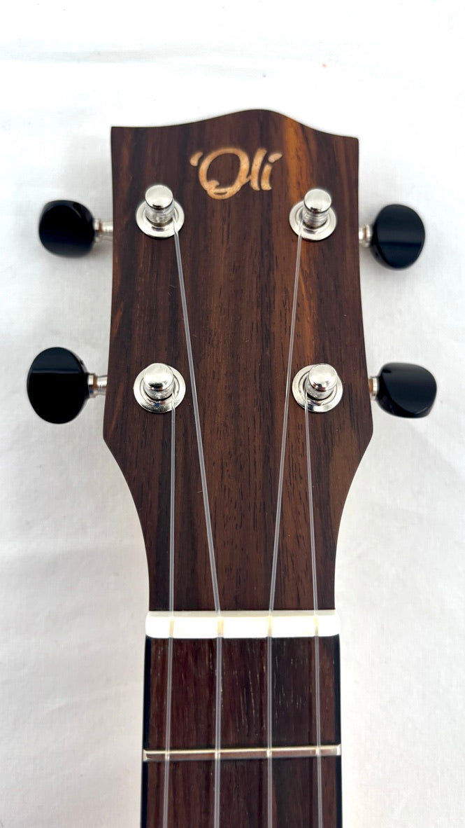 'Oli L Concert Acacia satin (L-CA-S)