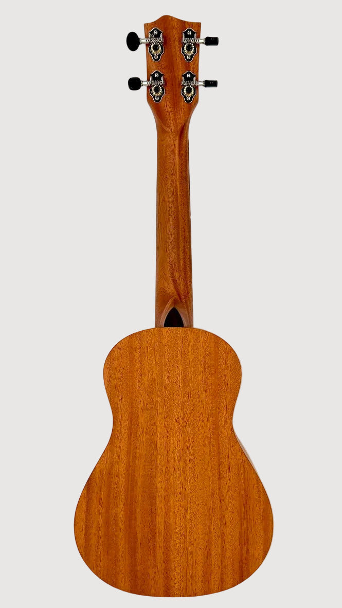 'Oli L Concert Mahagoni satin (L-CM-S)
