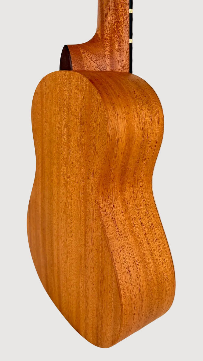 'Oli L Concert Mahagoni satin (L-CM-S)