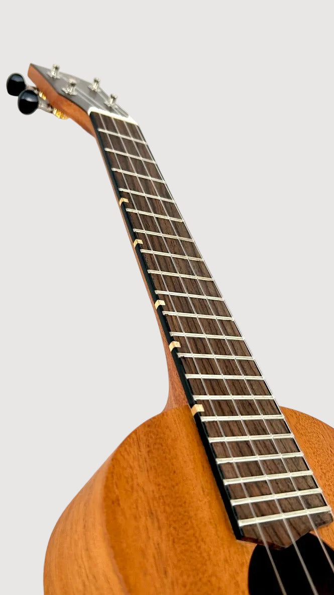 'Oli L Concert Mahagoni satin (L-CM-S)