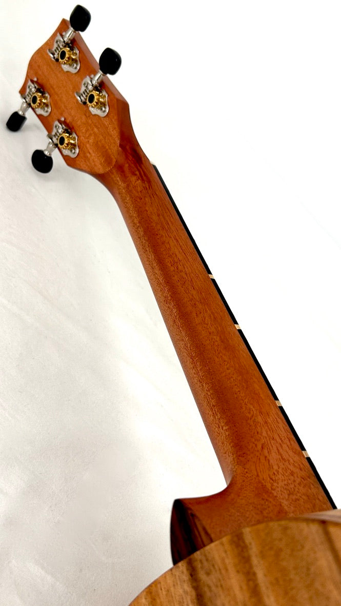 'Oli L Tenor Acacia satin (L-TA-S)