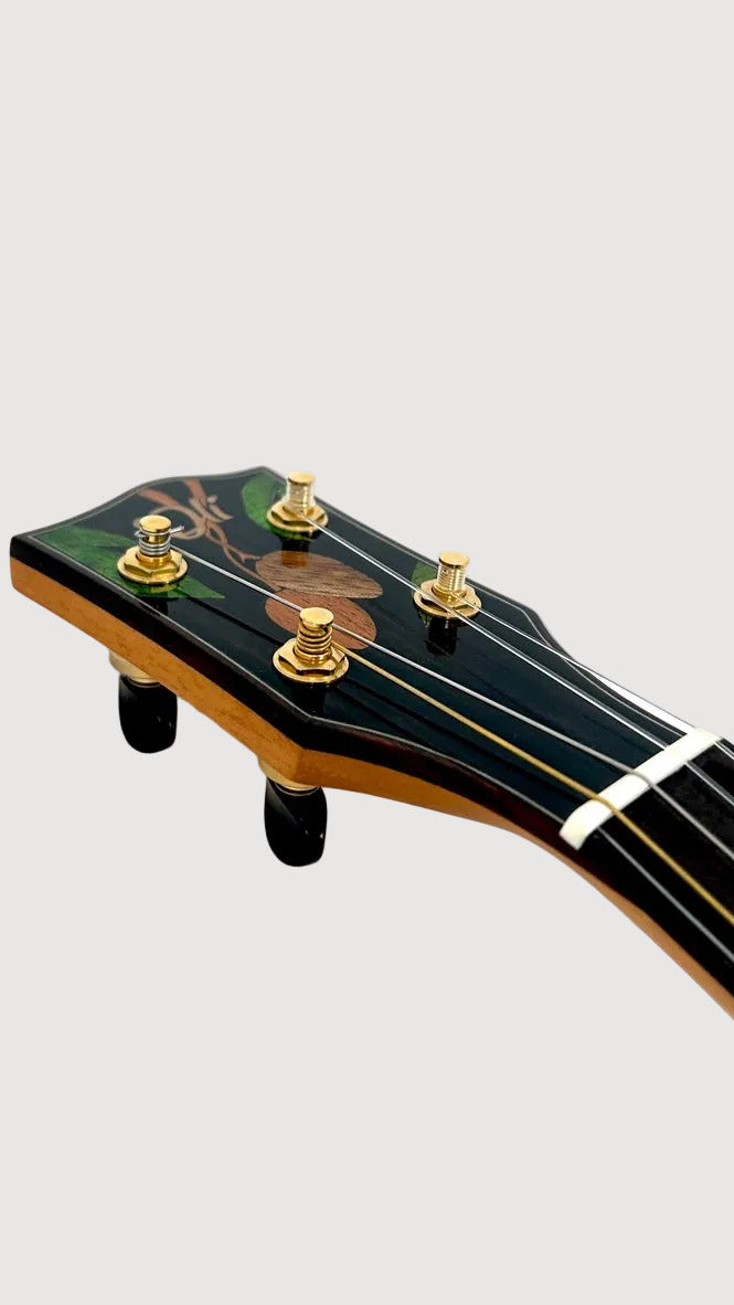 'Oli Bariton L2 Mango gloss Inlay (L2-BMG)