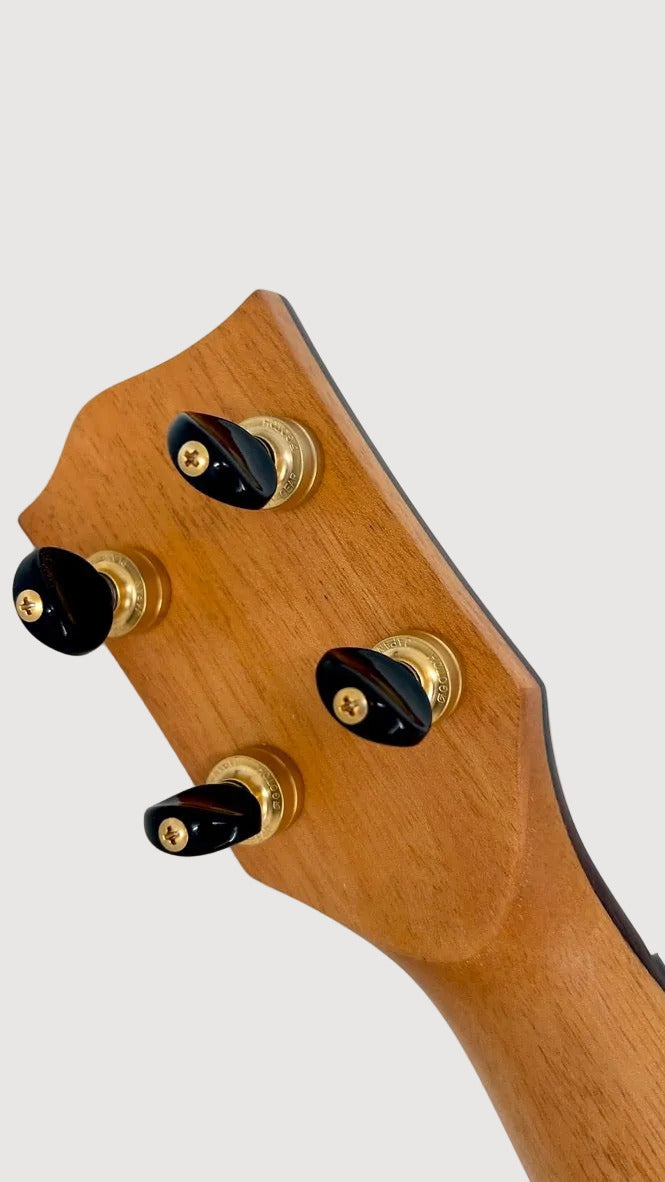 'Oli Bariton L2 Mango gloss Inlay (L2-BMG)