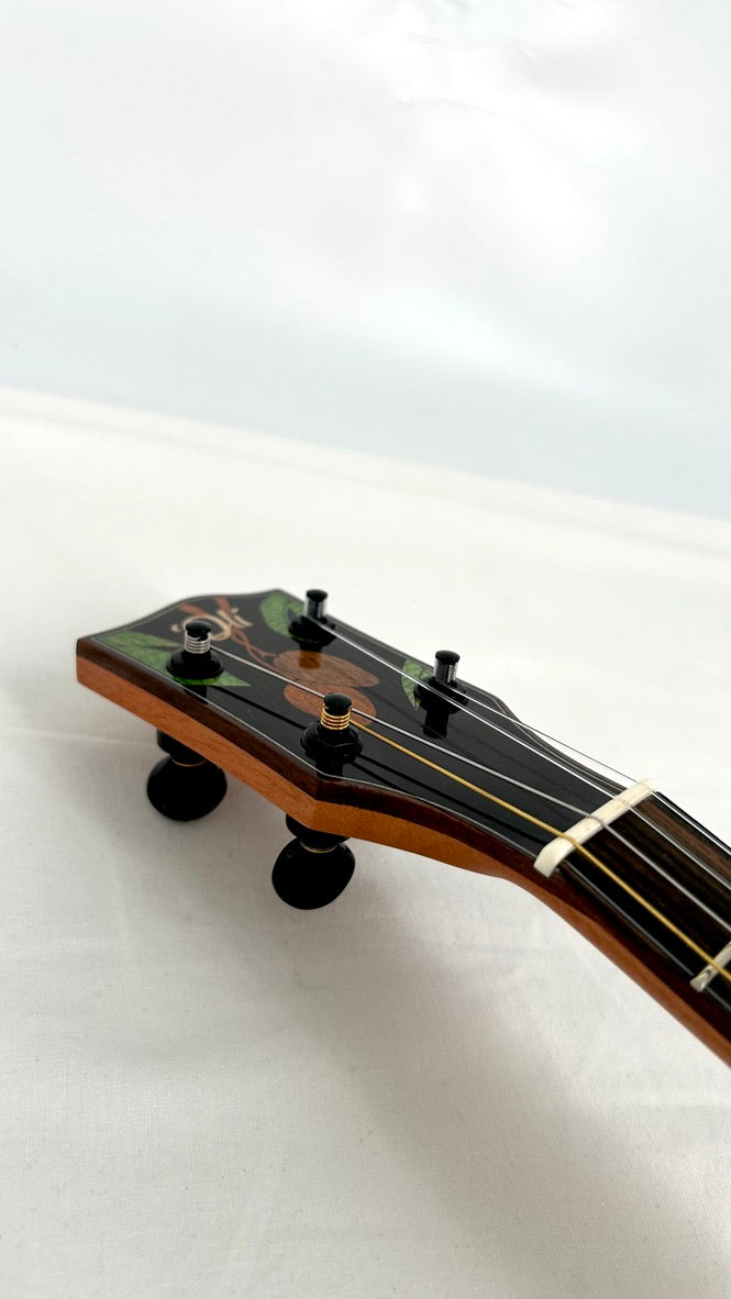 'Oli Bariton L2 Mango gloss 2024 (L2 BMG)