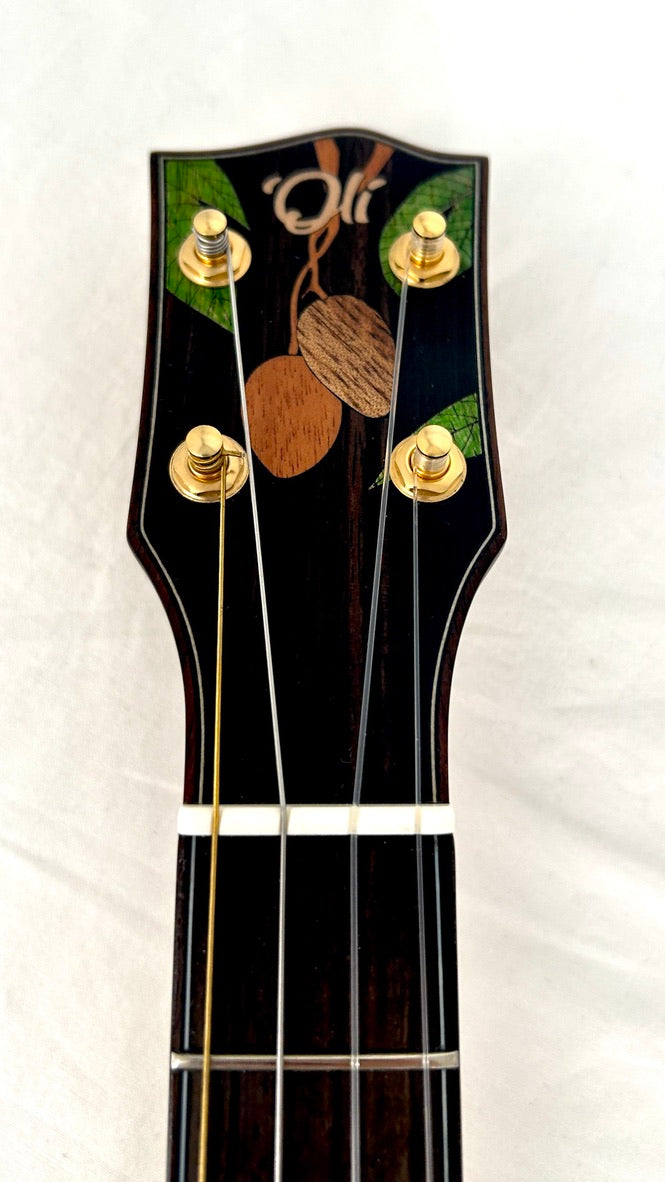 'Oli Bariton L2 Mango gloss Inlay (L2-BMG)
