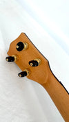 'Oli Bariton L2 Mango gloss Inlay 2024 (L2-BMG)