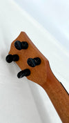 'Oli Tenor Spruce Acacia gloss (L1 SP-TA)