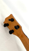 'Oli L2 Tenor Spruce Rosewood gloss (L2 TSR)