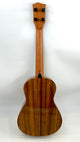 'Oli Tenor Acacia gloss (L1 TA)