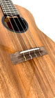 'Oli Tenor Acacia gloss (L1 TA)