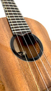 'Oli Tenor Acacia gloss (L1 TA)