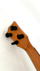 'Oli Tenor Acacia gloss (L1 TA)