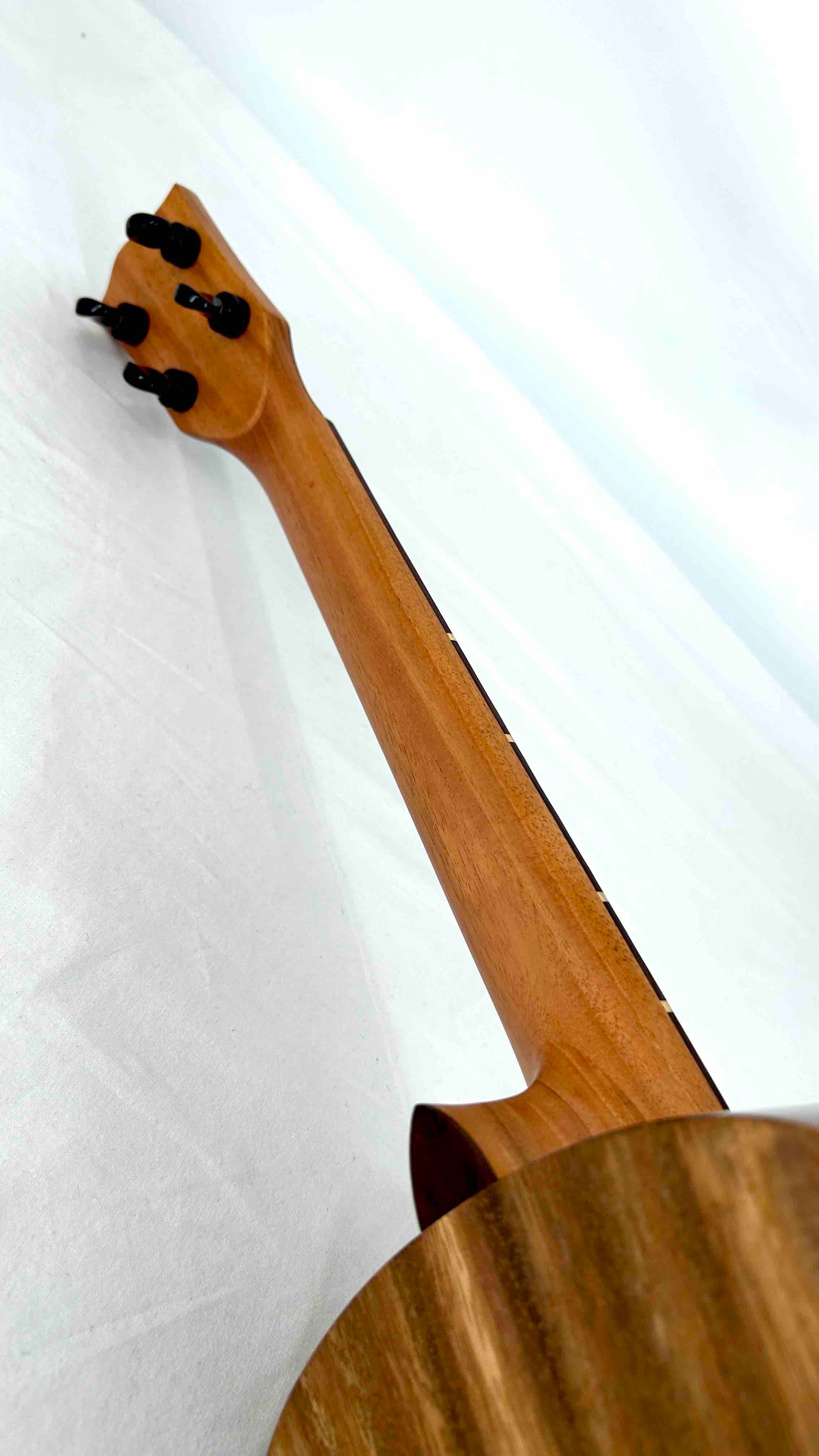 'Oli Bariton Acacia gloss (L1 BA)